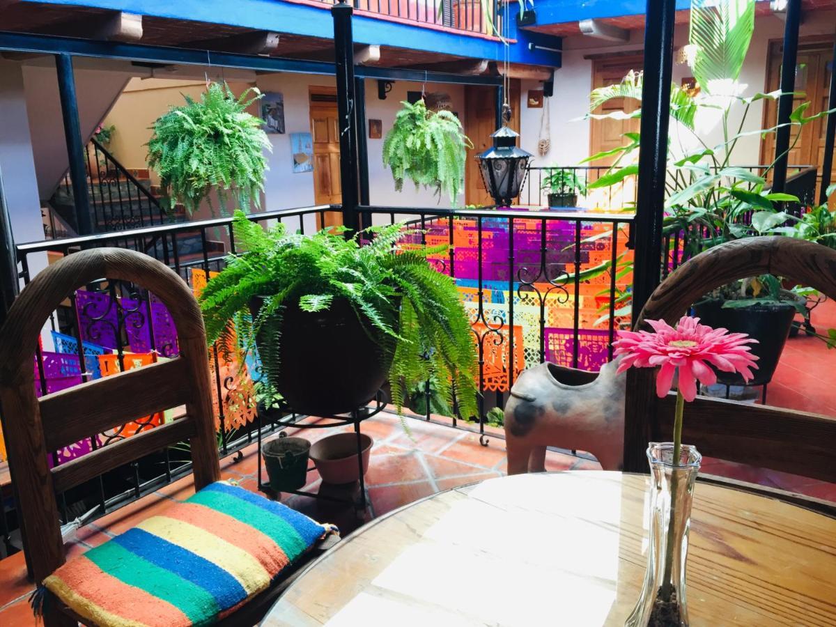 Hotel Cazomalli Oaxaca Экстерьер фото