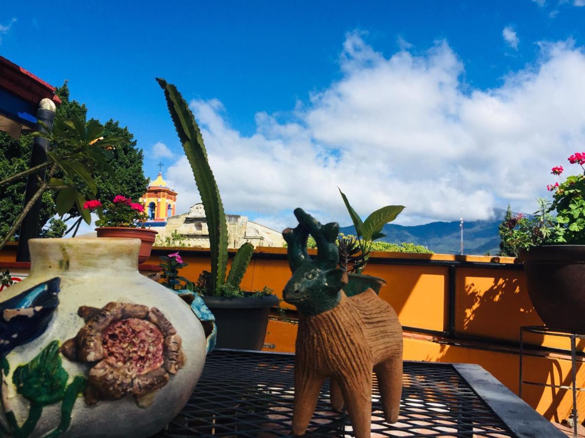 Hotel Cazomalli Oaxaca Экстерьер фото